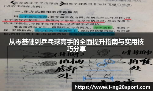 从零基础到乒乓球高手的全面提升指南与实用技巧分享
